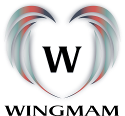 Wingman Inner Circle Logo Wingman Inner Circle Logo
